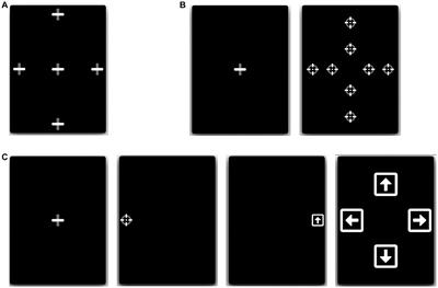 A novel tablet-based software for the acquisition and analysis of gaze and eye movement parameters: a preliminary validation study in Parkinson’s disease